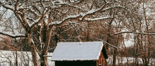 obstbaum mit hütte