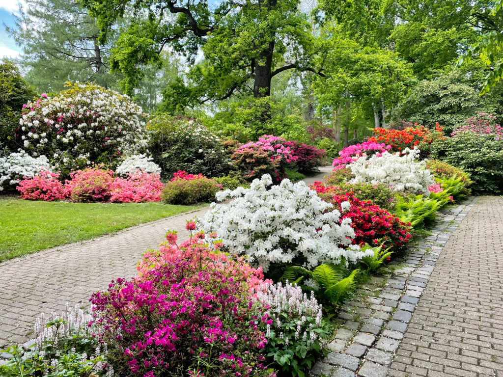 blumenbeet