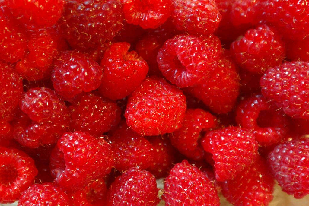 Himbeere