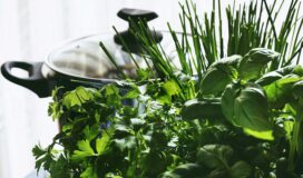 kräutergarten